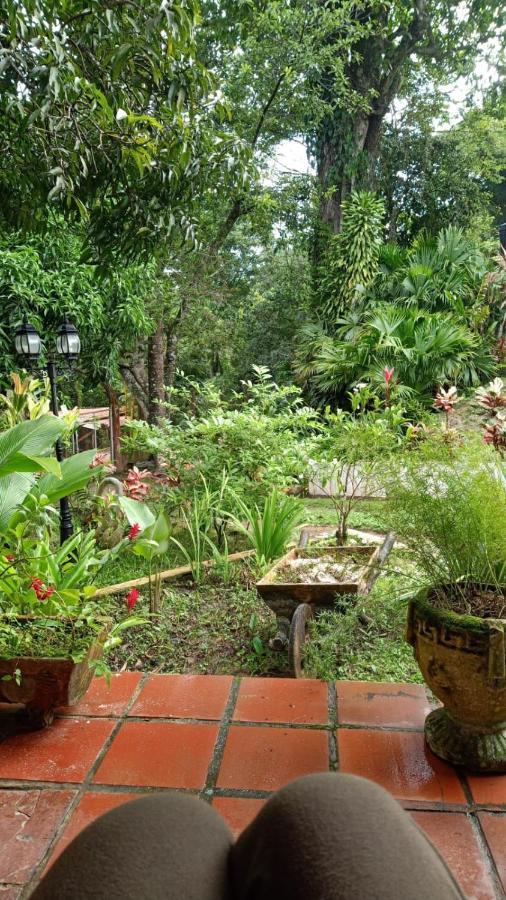 Dream House Homestay Минка Екстериор снимка