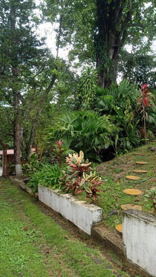 Dream House Homestay Минка Екстериор снимка